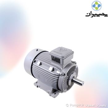 الکتروموتور موتوژن 22KW 3000RPM