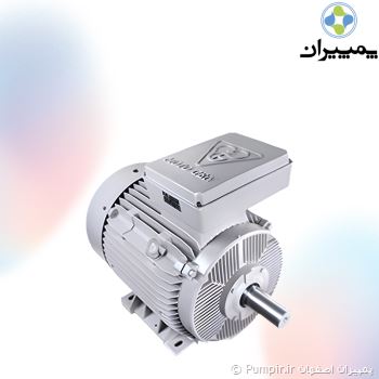 الکتروموتور موتوژن 132KW 750RPM