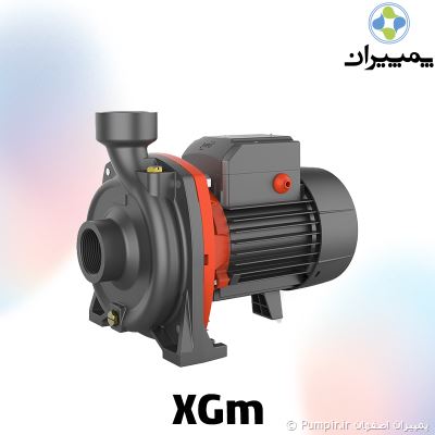 الکتروپمپ بشقابی تک پروانه LEO XGm